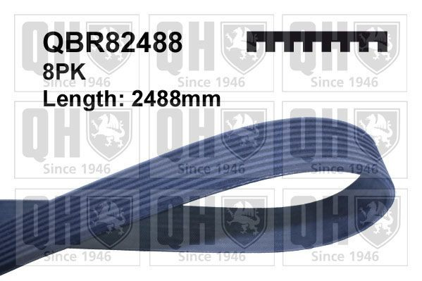 R245223 John Deere Correa poly v